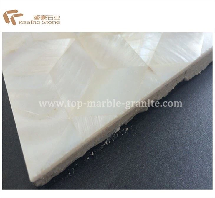 Shell Stone Mother of Pearl